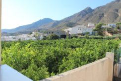 IMG_2809 (Grande)