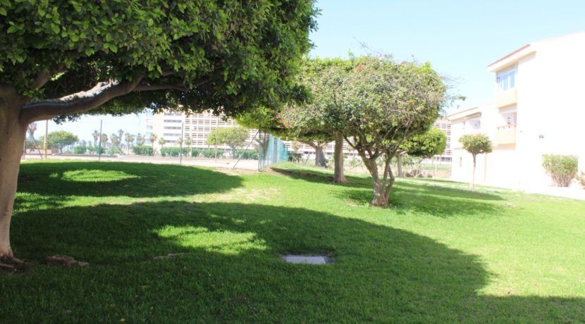 Residencial Don Paco (24)