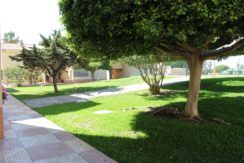 Residencial Don Paco (25)