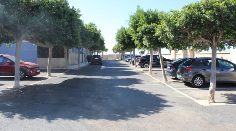 Atico Oasis P Serena (15)