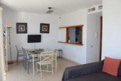 Atico Oasis P Serena (29)