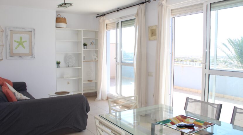 Atico Oasis P Serena (30)
