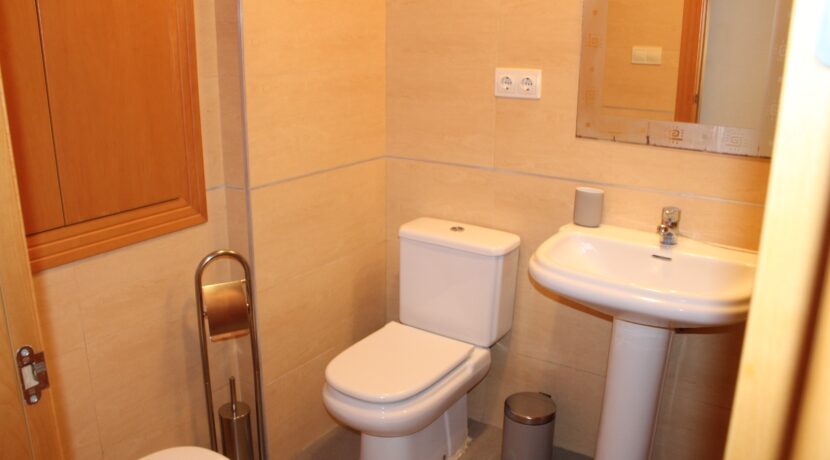 Atico Oasis P Serena (35)