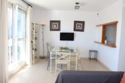 Atico Oasis P Serena (6)