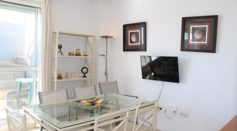 Atico Oasis P Serena (7)