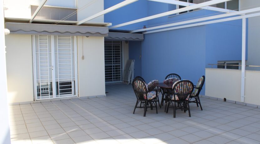 Jardin y Terrazas (1)