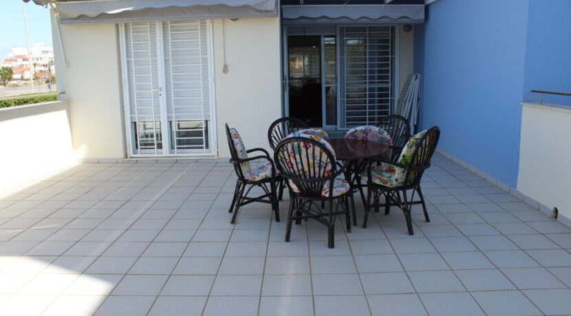 Jardin y Terrazas (11)