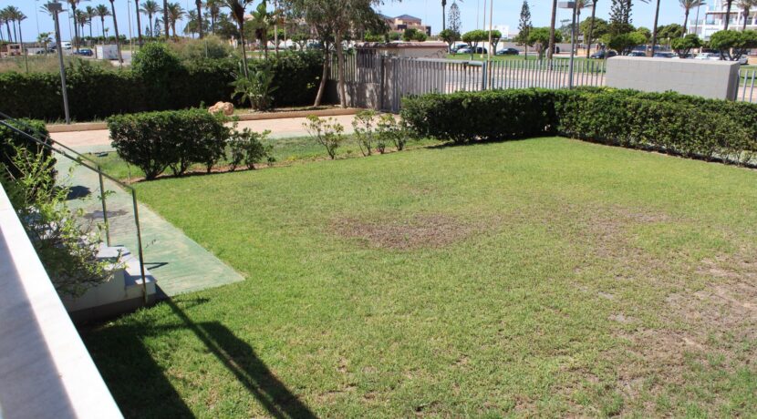 Jardin y terrazas (20)
