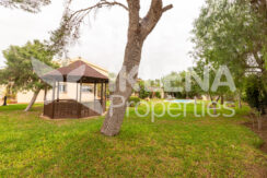 Chalet Paseo Central (74)