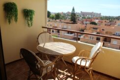 Terraza (1)