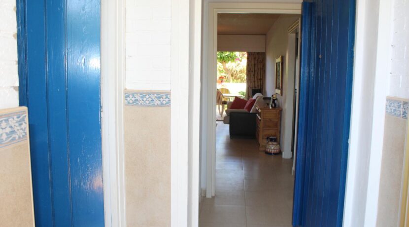 Bajo en Alameda (15)