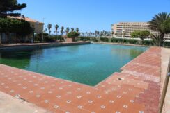 Residencial Don Paco (23)