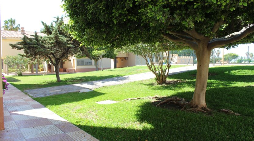 Residencial Don Paco (25)